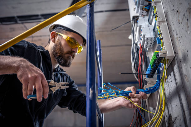 Best Electrical System Inspection  in St Leo, FL