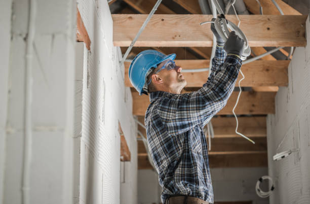 Best Commercial Electrician Services  in St Leo, FL