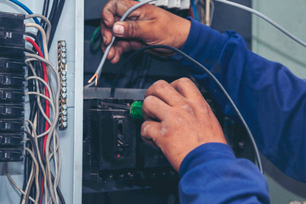 Best Electrical Rewiring Services  in St Leo, FL
