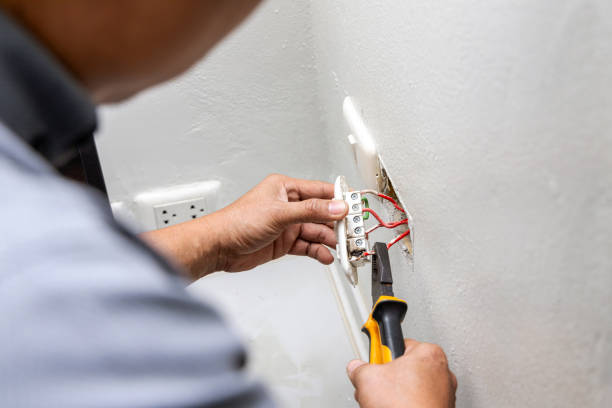 Best Licensed Electrician  in St Leo, FL